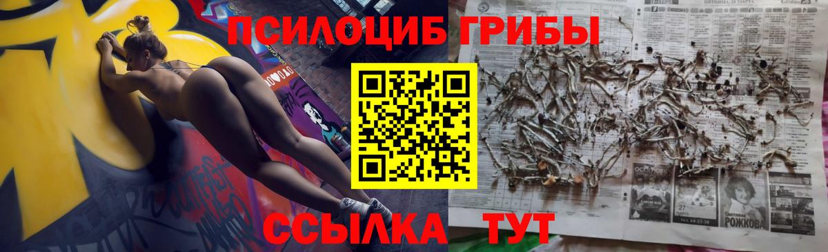 Псков  Галлюциногенные грибы Cubensis  Вход с VPN  Псилоцибиновые грибы мицелий 